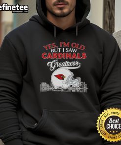 Vintage St. Louis Cardinals hoodie featuring skyline and helmet design, celebrating team greatness and nostalgia.