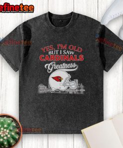 Alt Text: Vintage St. Louis Cardinals t-shirt featuring skyline and helmet, celebrating sports greatness and nostalgia.