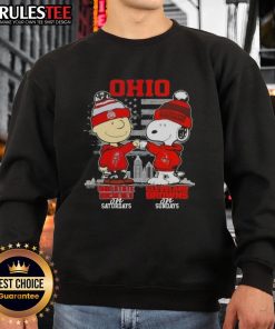 Alt Text: Happy Charlie Brown in Ohio State Buckeyes sweatshirt and Snoopy in Cleveland Browns sweatshirt against skyline.
