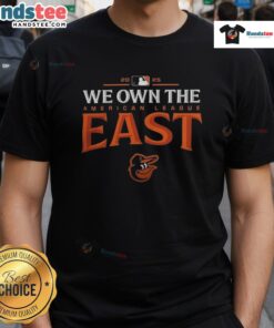 Alt Text: Baltimore Orioles 2025 American League East Division Champions T-Shirt showcasing team pride and vibrant design.