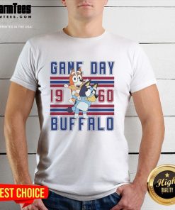 Retro 1960 style t-shirt featuring Nice Bluey and Bingo at a Buffalo Bulls football game, perfect for game day fans.