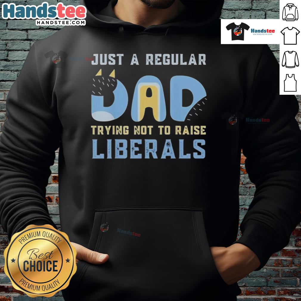 Nice Bluey Just A Regular Dad Trying Not To Raise Liberals Hoodie
