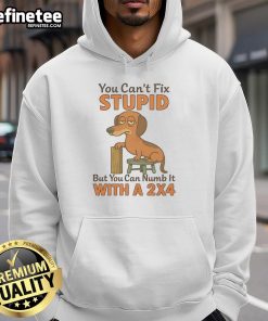Alt Text: Funny hoodie featuring a Dachshund and the phrase You can't fix stupid, but you can numb it with a 2x4.