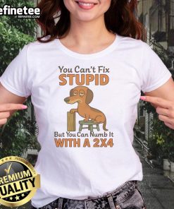 Funny ladies tee featuring a Dachshund and the quote about fixing stupid with a 2x4, perfect for dog lovers.