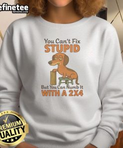 Alt Text: Funny sweatshirt featuring a dachshund and the quote about fixing stupidity with a 2x4, perfect for dog lovers.