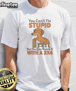 Funny Dachshund T-Shirt: 'You Can't Fix Stupid But You Can Numb It With A 24' - Perfect for dog lovers and humor enthusiasts.