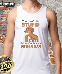 Cute dachshund wearing a humorous tank top that says, You can't fix stupid, but you can numb it with a 24.