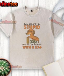 Alt Text: Funny 'You Can't Fix Stupid' Dachshund shirt design featuring a cute dog on a washed t-shirt. Perfect for dog lovers!