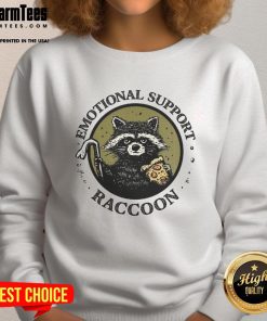 Cozy Nice Emotional Support Raccoon Sweatshirt featuring a cute raccoon graphic, perfect for comfort and style.