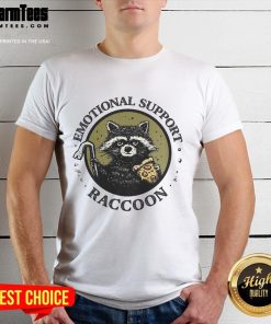 Nice Emotional Support Raccoon T-Shirt featuring a cute raccoon graphic, perfect for animal lovers and comfort seekers.