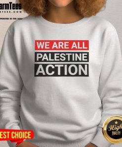 Nice Greta Thunberg 'We Are All Palestine' action sweatshirt, promoting climate and social justice activism.