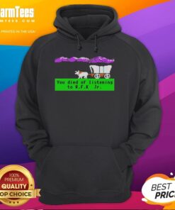 Pixel hoodie featuring 'You Died of Listening to RFK Jr.' design, inspired by the Nice Oregon Trail theme.