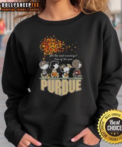 Cozy autumn sweatshirt featuring Snoopy and friends, perfect for celebrating the most wonderful time of the year.