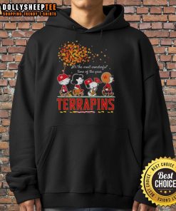 Cozy autumn hoodie featuring Snoopy and friends with terrapins, celebrating 'It's the Most Wonderful Time of the Year'.