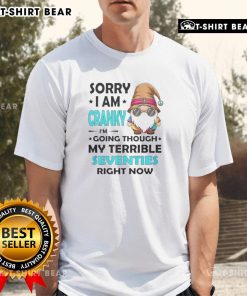 Funny 'Nice Sorry I Am Cranky Im Going Through My Terrible Seventies' T-Shirt design for humor and nostalgia lovers.