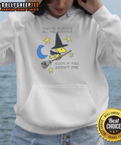 Nice Woodstock Witch hoodie for Halloween: 'They're burning all the witches even if you aren't one' design.