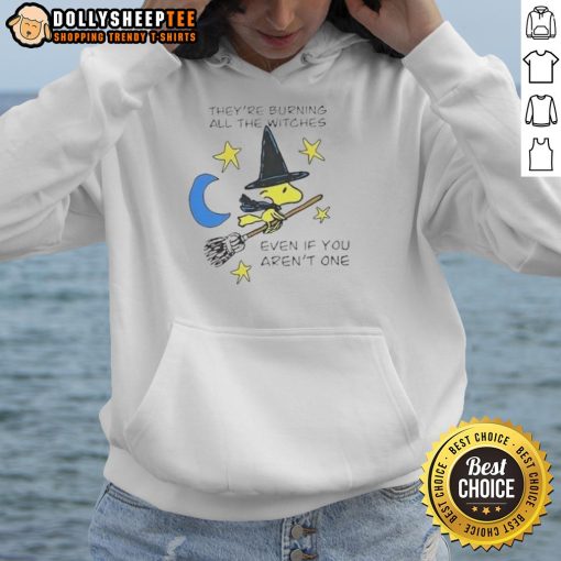 Nice Woodstock Witch hoodie for Halloween: 'They're burning all the witches even if you aren't one' design.