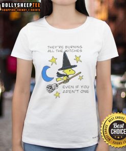Alt Text: Halloween ladies tee featuring a witch and the phrase 'They're burning all the witches' in Woodstock style.