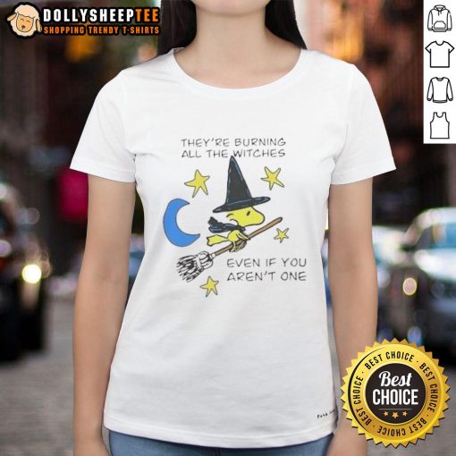 Alt Text: Halloween ladies tee featuring a witch and the phrase 'They're burning all the witches' in Woodstock style.