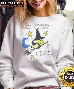 Alt Text: Cozy Halloween sweatshirt featuring a witch graphic with the text They're Burning All The Witches for spooky style.