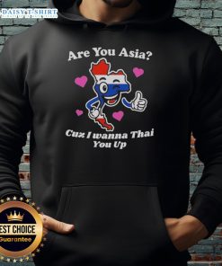 Official 'Are You Asia? Cuz I Wanna Thai You Up' hoodie featuring a fun graphic design, perfect for casual wear.