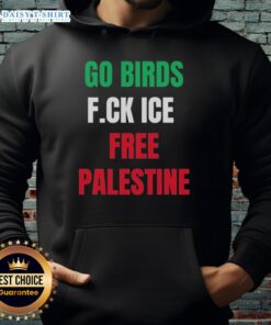 Official Go Birds F.C.K. Ice Free Palestine Shirt worn by Hannah Einbinder, showcasing a stylish hoodie design.