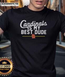Alt Text: Official St. Louis Cardinals Is My Best Dude T-Shirt featuring team colors and logo, perfect for fans.