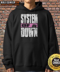 Original Chicago 2025 System of a Down Soldier Field Tour Hoodie featuring iconic band graphics and vibrant colors.