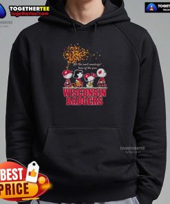 Cozy Wisconsin Badgers hoodie featuring 'It's The Most Wonderful Time Of The Year' design for festive fans.