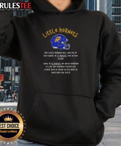 Alt Text: Original Little Hornets hoodie featuring the team running out of the tunnel at 17 minutes left on the clock.