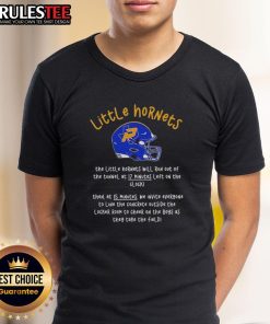 Original The Little Hornets Will Run Out Of The Tunnel At 17 Minutes Left On The Clock T-Shirt design featuring vibrant graphics.