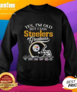 Pittsburgh Steelers sweatshirt featuring Super Bowl helmet and skyline design, perfect for fans who embrace greatness.