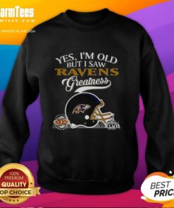 Alt Text: Baltimore Ravens Super Bowl sweatshirt featuring skyline design, perfect for fans celebrating team greatness.