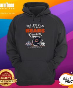 Alt Text: Chicago Bears Super Bowl hoodie featuring skyline design, celebrating the team's greatness for loyal fans.