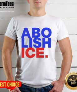 Premium Abolish Ice 2025 T-Shirt featuring bold graphics and a comfortable fit, perfect for activism and casual wear.
