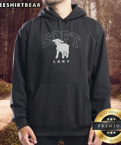 Pretty Lany Soft Hoodie in pastel colors, featuring a cozy design and stylish fit, perfect for casual wear.