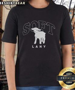 Pretty Lany Soft Ladies Tee in pastel colors, showcasing a stylish design perfect for casual wear and comfortable outfits.