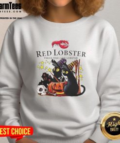 Pretty red lobster and black cat witch with pumpkin and haunted house on Halloween sweatshirt design.