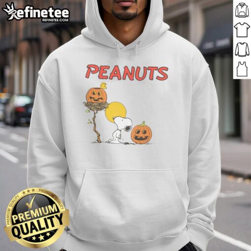 Pretty RSQ x Peanuts Pumpkins Hoodie featuring colorful pumpkin graphics, perfect for autumn fashion and Peanuts fans.