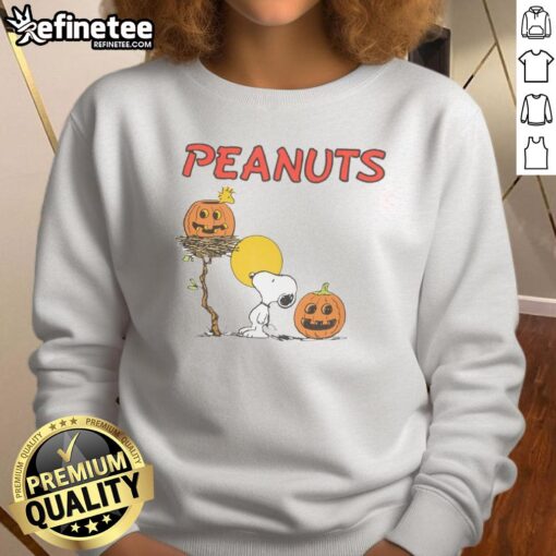 Pretty RSQ x Peanuts pumpkins sweatshirt featuring vibrant colors and fun Peanuts characters in a cozy design.