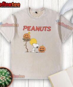 Pretty RSQ x Peanuts pumpkins washed t-shirt featuring a vibrant graphic design perfect for fall fashion.
