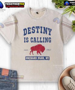 Alt Text: Top Buffalo Bills Destiny is Calling washed t-shirt in Orchard Park, NY, showcasing team spirit and style.