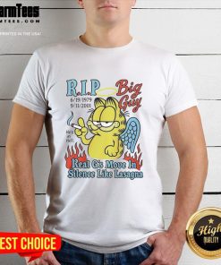 Top Garfield Rip Big Guy t-shirt featuring 'Real G's Move In Silence Like Lasagna' design, perfect for fans.