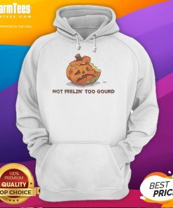 Alt Text: Cozy black hoodie featuring a whimsical pumpkin graphic with the phrase Not Feeling Too Gourd for Halloween style.