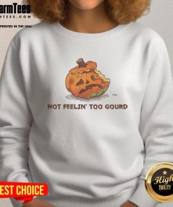 Cozy Top Halloween Pumpkin sweatshirt with 'Not Feeling Too Gourd' design, perfect for festive fall celebrations.