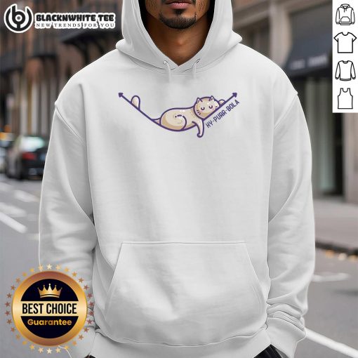 Top Hy Purr Bola Hyperbola Maths Cat Pun Hoodie in vibrant colors, perfect for math lovers and cat enthusiasts.