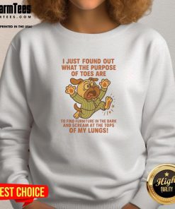 Alt Text: Cozy sweatshirt featuring a playful pug graphic with the phrase about toes, perfect for dog lovers and casual wear.