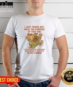 Top Pug I Just Found Out What The Purpose Of Toes T-Shirt featuring a playful pug graphic and fun text design.