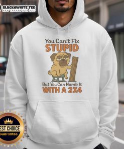 Top Pug hoodie with quote 'You Can't Fix Stupid But You Can Numb It With A 2x4' displayed on a vibrant background.