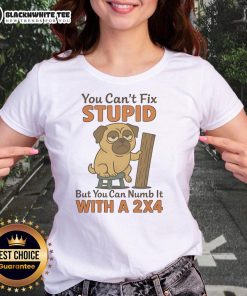 Top Pug tee featuring humorous quote: 'You can't fix stupid, but you can numb it with a 2x4' for ladies.